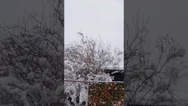 Вот и к нам пришла зима! смотреть онлайн