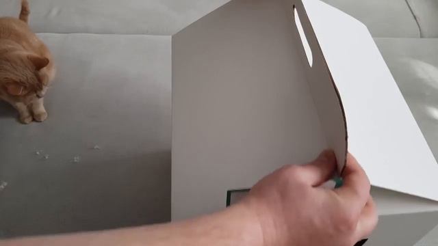 №2. Обзор домика для кота. Заселение в конце ролика) Catbox смотреть онлайн