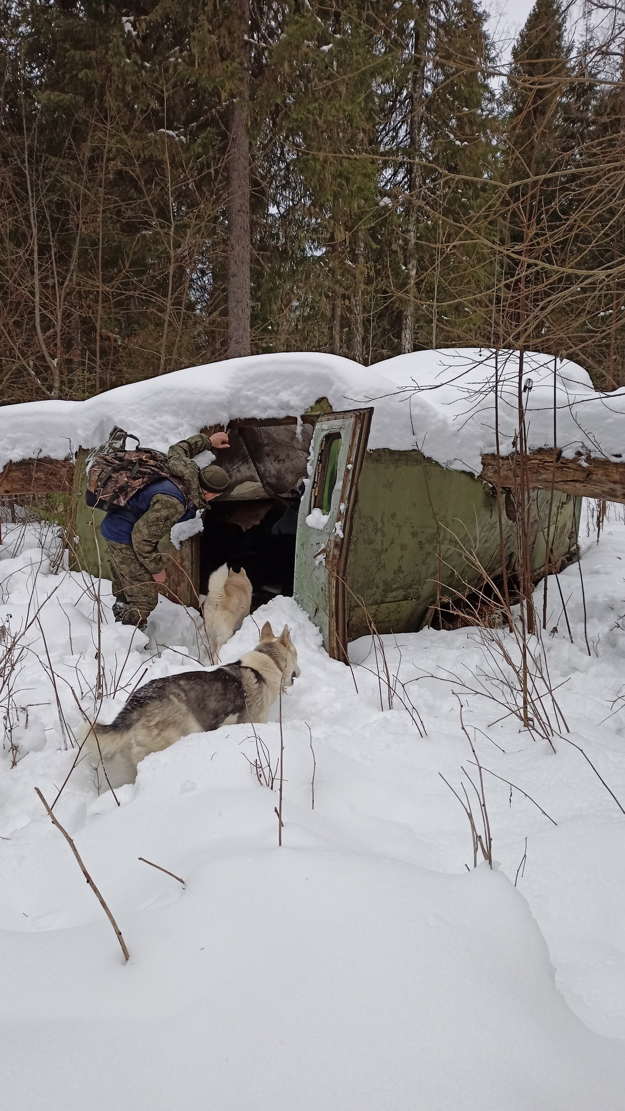 ВОТ ЭТО НАХОДКА! Изба в тайге теперь не нужна! смотреть онлайн