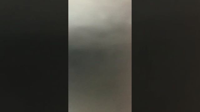 Монитор AOC 5919 смотреть онлайн