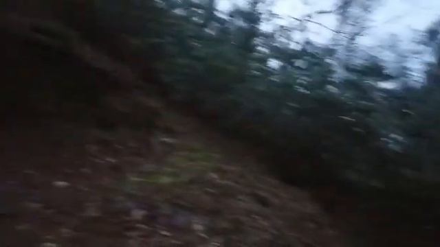 Пицунда, село Амжикухуа, 4 сотки смотреть онлайн