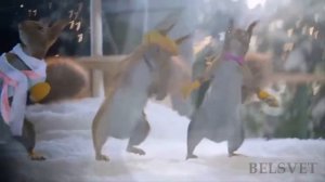 Музыка Зажигаем! Качается земля 😊👍 Шуточный клип