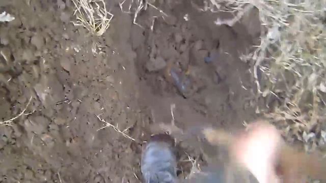 Зимний металокоп с мд ПИРАТом смотреть онлайн