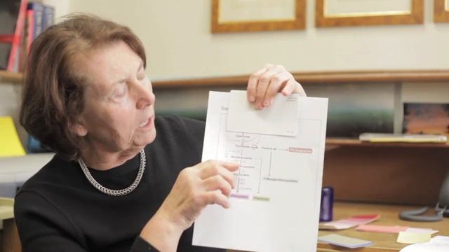 Anthocyanin смотреть онлайн