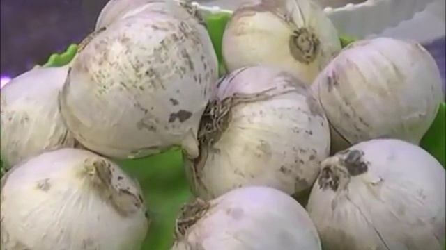 Удивительный РОКАМБОЛЬ - гигантский лук-чеснок (