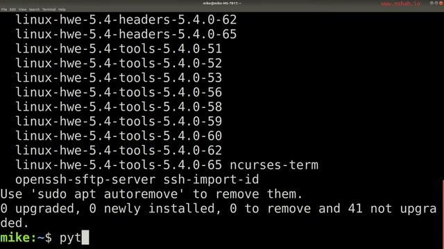 Installing Python on Linux - Learn Python 3 in a Weekend смотреть онлайн