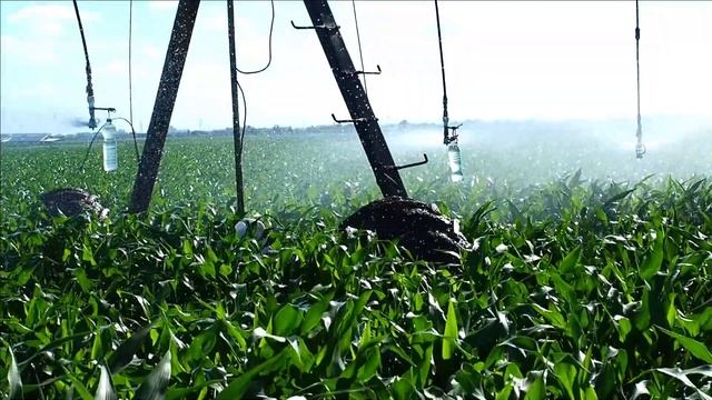 Супер система для поливания смотреть онлайн