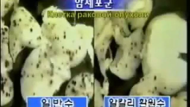 Щелочная Вода - основа Здоровой Жизни! смотреть онлайн