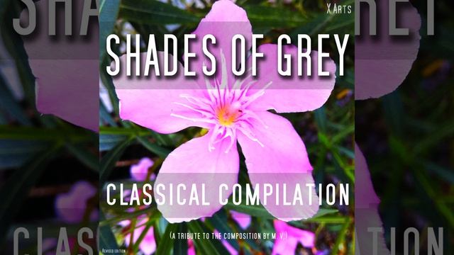 On the Beautiful Blue Danube (Medley) смотреть онлайн