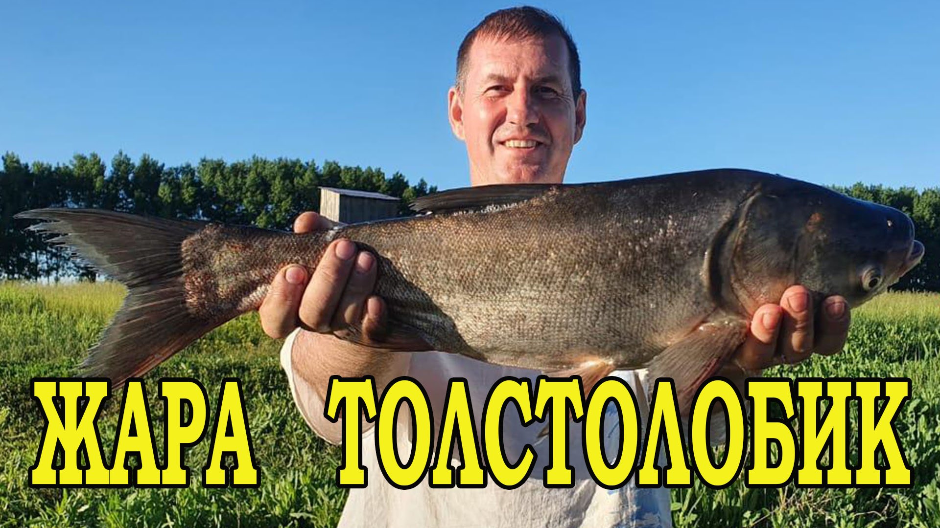 ЖАРА, время ловить ТОЛСТОЛОБИКА! смотреть онлайн