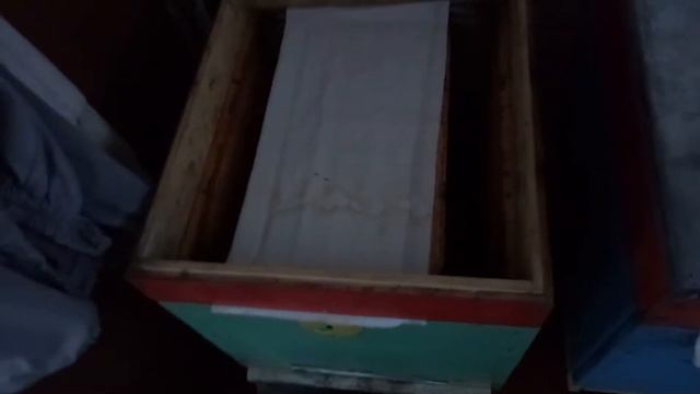 Зимовка пчел 2018 смотреть онлайн