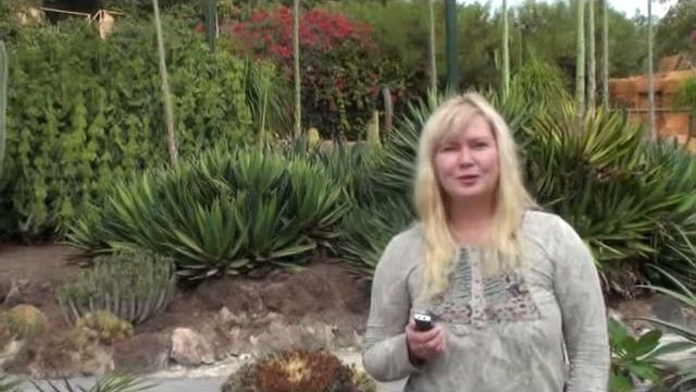 Ваши желания исполняются? смотреть онлайн