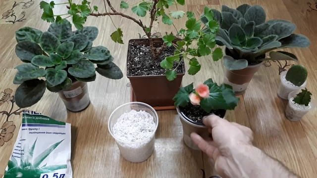 Зачем нужен агроперлит. Как применять агроперлит. Польза от агроперлита смотреть онлайн