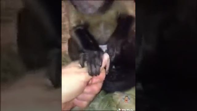 Мы будем делать бабки! смотреть онлайн