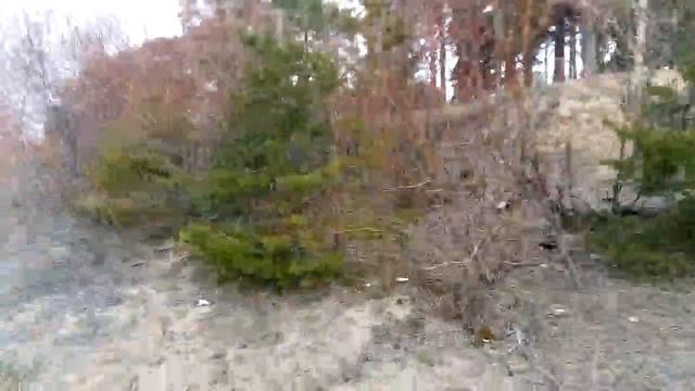 сныть трава.. разговоры о профессионализме и о жизни. смотреть онлайн