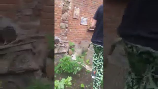 я научился делать название видео! смотреть онлайн