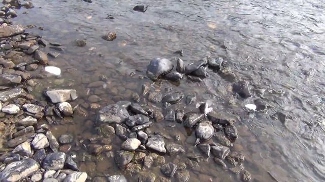 РЫБАЛКА --- ТОННЫ ХАРИУСА на АЛТАЙСКУЮ БАЛДУ АЛТАЙСКАЯ БАЛДА идеальная ловли ХАРИУСА ИСХОДНИК смотреть онлайн