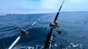 Троллинг Сима Владивосток, морская рыбалка, Fishing cherry salmon