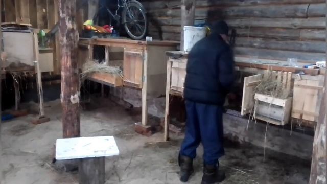 Вес кролика в 3 месяца. смотреть онлайн