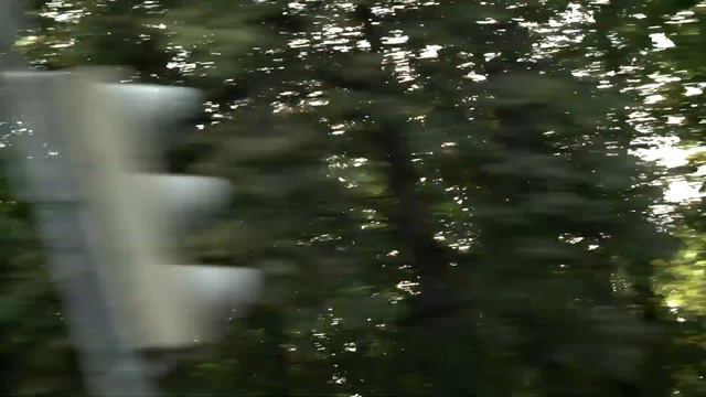 Едем в Филармонию-2 смотреть онлайн