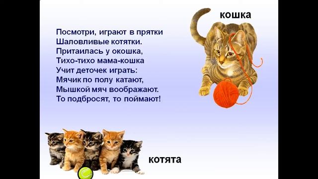 Презентация домашние животные и их детёныши презентация смотреть онлайн
