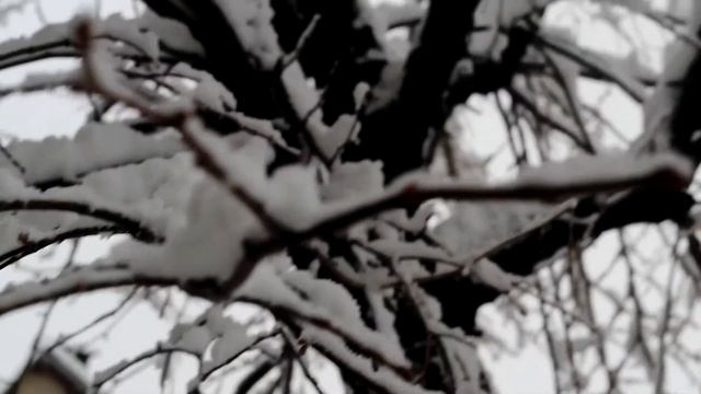 Winter. /canon 1300d смотреть онлайн