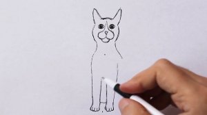 Как нарисовать Кота в сидячей позе