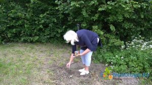 Карбид от кротов