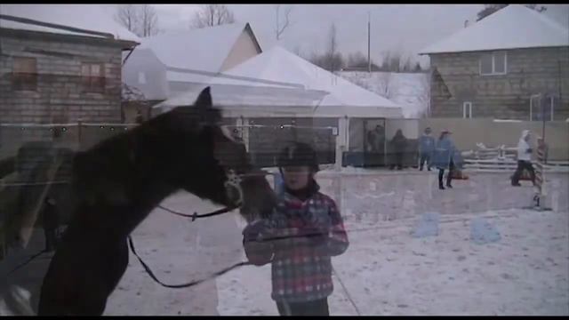 КСК Нева. Соревнования по курсингу на кубок Деда Мороза. 27.12.2014 смотреть онлайн