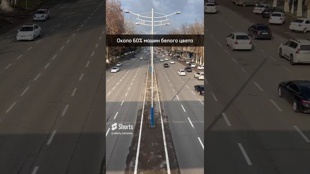 Статистика авто в Узбекистане, белые Chevrolet