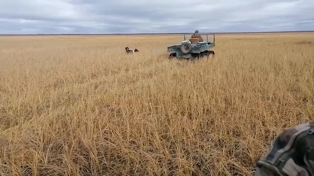 БОЛОТО!4 ВЕЗДЕХОДА!ИЩЕМ НОВЫЕ МЕСТА! смотреть онлайн