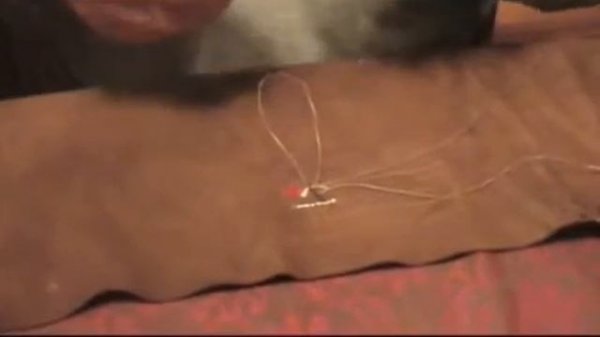 Азы вышивки иглами дикобраза. Часть1. Серия 3.