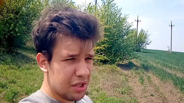 1 мая в период карантина или как отпраздновать его смотреть онлайн