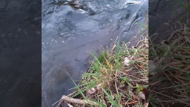 Восстановление сил, и здоровья во сне  Восприятие мысленно природы.