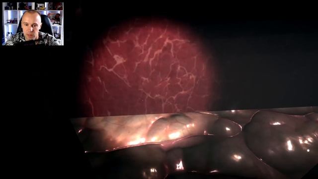 ЭТО МОЁ МОЛОКО! Побег от ГИГАНТСКОГО АМОГУСА в Хоррор Игре Buff Imposter смотреть онлайн