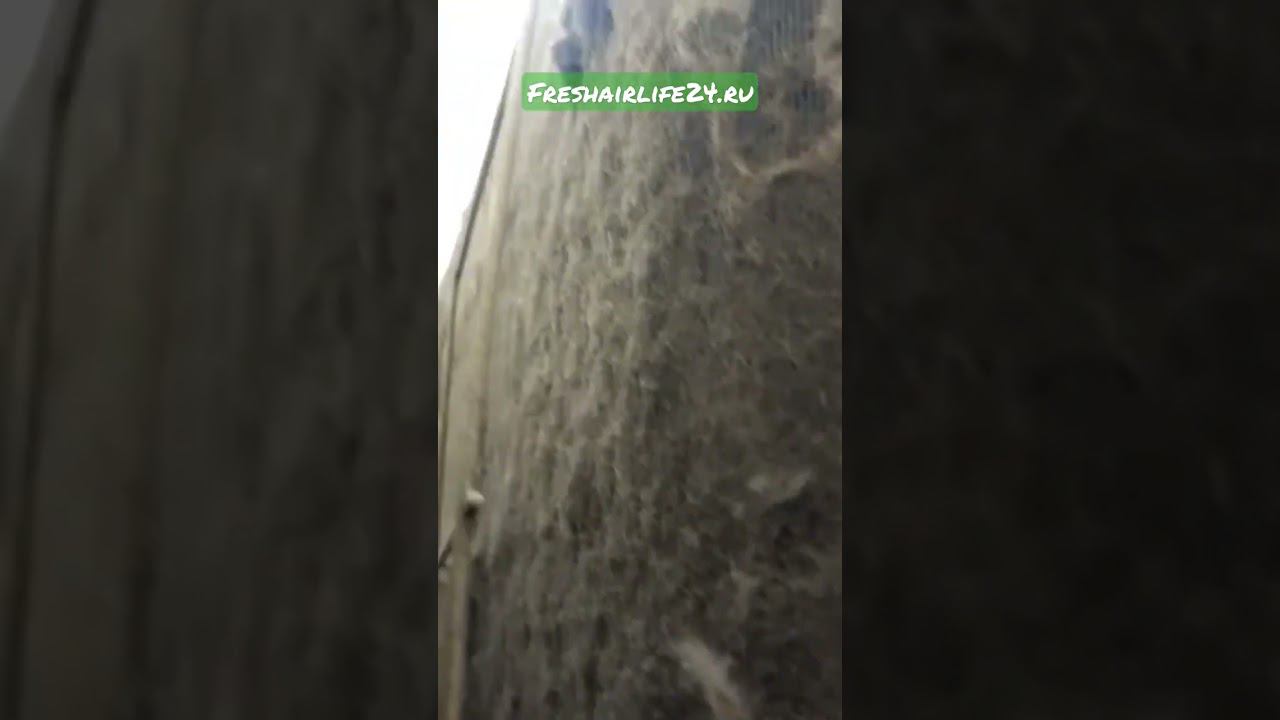 Доступный сервис кондиционера в Санкт-Петербурге | Не жди жары - действуй сегодня | Звони сейчас ! смотреть онлайн