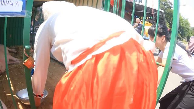 Португалия станет чемпионом Европы смотреть онлайн