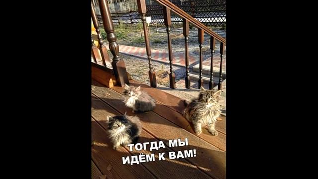 блин есть повторные мемы | смотрю мемы от доми шоу #7 смотреть онлайн