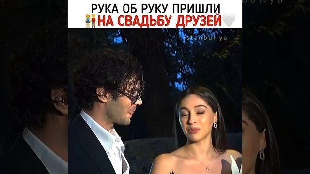 Интервью актёров и актрис Турции смотреть онлайн