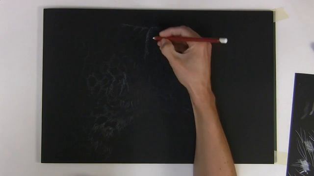 Colored Pencil Tutorial - White on black technique - Jason Morgan смотреть онлайн