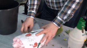 Длительное хранение тюльпанов. А.М. Быков