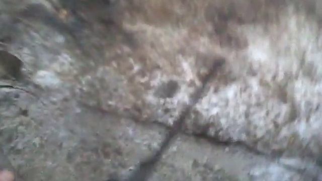 Снегоуборщик на мотоблок смотреть онлайн