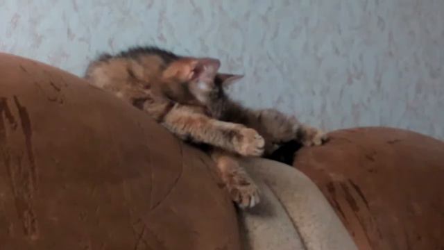 Спать захочешь ещё и не так раскорячишься смотреть онлайн
