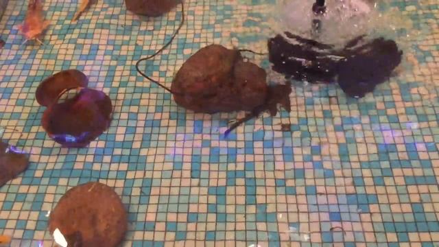 Белый карп. Встреча. смотреть онлайн