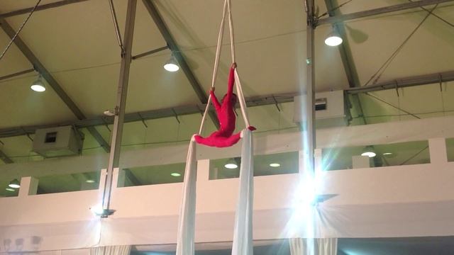 Бронзовый призер VI Кубка ВСЭ, категория - воздушные полотна профессионалы смотреть онлайн