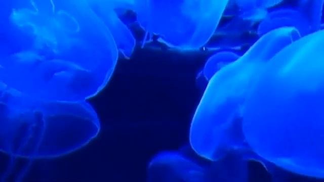 SLEEP Исцеление во время музыки для сна | Чудо сон музыка для глубокой медитации | релаксация смотреть онлайн