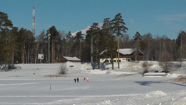 14.02.2015 Лебяжье озеро зимой. 03134 смотреть онлайн