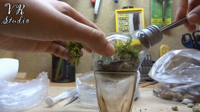 Экосистема, терариум или сад в лампочке! смотреть онлайн