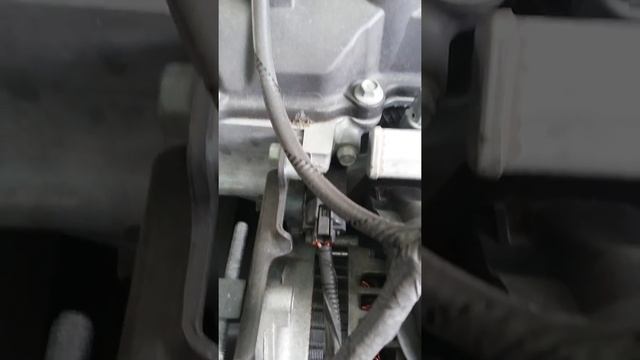 Extraño ruido en motor Kia morning/picanto 1.2cc смотреть онлайн