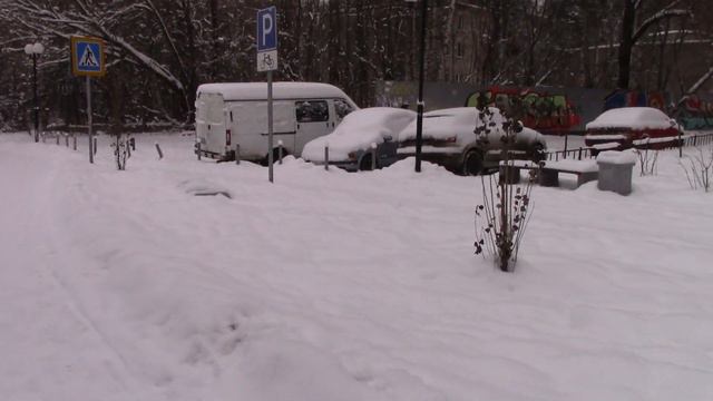 Дятел! Птицы заснеженного Подмосковья. смотреть онлайн